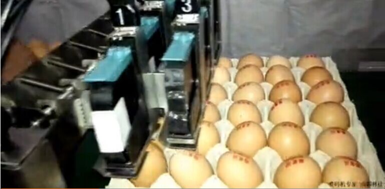鸡蛋喷码机的特殊贡献-喷码让鸡蛋的食品安全和流通可全程追溯